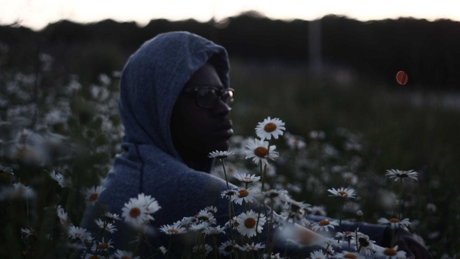 A person in a gray hoodie and glasses, surrounded by white daisies, looks thoughtfully to the right side of the frame with a dark, blurred background.